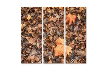 Canvastavla i trä 3-delar 50x70 cm - Höstlöv i olika nyanser av brunt och orange - Brunt / Orange / Beige - Inredning - Tavlor & posters - Canvastavla