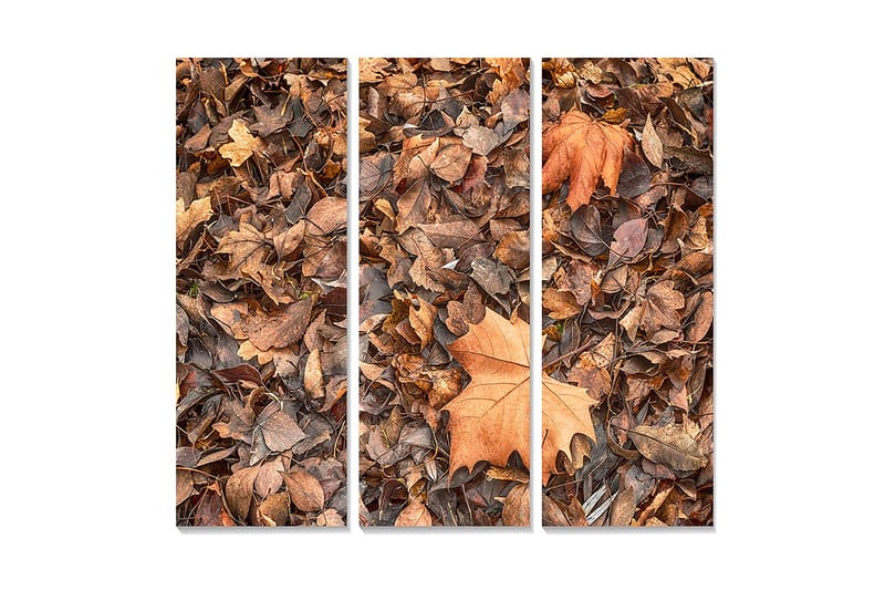 Canvastavla i trä 3-delar 50x70 cm - Höstlöv i olika nyanser av brunt och orange, Brunt / Orange / Beige