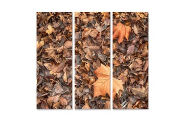 Canvastavla i trä 3-delar 50x70 cm - Höstlöv i olika nyanser av brunt och orange - Brunt / Orange / Beige - Inredning - Tavlor & posters - Canvastavla