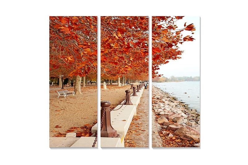 Canvastavla i trä 3-delar 50x70 cm - Höstlandskap med gyllene lövträd längs en promenadsträcka vid vattnet, Orange / Brun / Beige