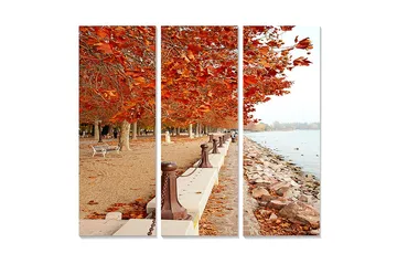 Canvastavla i trä 3-delar 50x70 cm - Höstlandskap med gyllene lövträd längs en promenadsträcka vid vattnet - Orange / Brun / Beige - Inredning - Tavlor & posters - Canvastavla