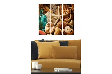 Canvastavla i trä 3-delar 50x70 cm - Havsinspirerad samling av snäckor och strandföremål - Turkos / Beige / Brun - Inredning - Tavlor & posters - Canvastavla
