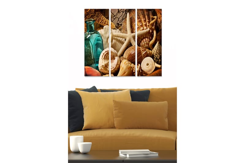 Canvastavla i trä 3-delar 50x70 cm - Havsinspirerad samling av snäckor och strandföremål, Turkos / Beige / Brun