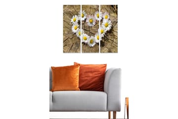 Canvastavla i trä 3-delar 50x70 cm - Hjärtformad samling av prästkragar på en träyta - Vit / Gul / Brun - Inredning - Tavlor & posters - Canvastavla