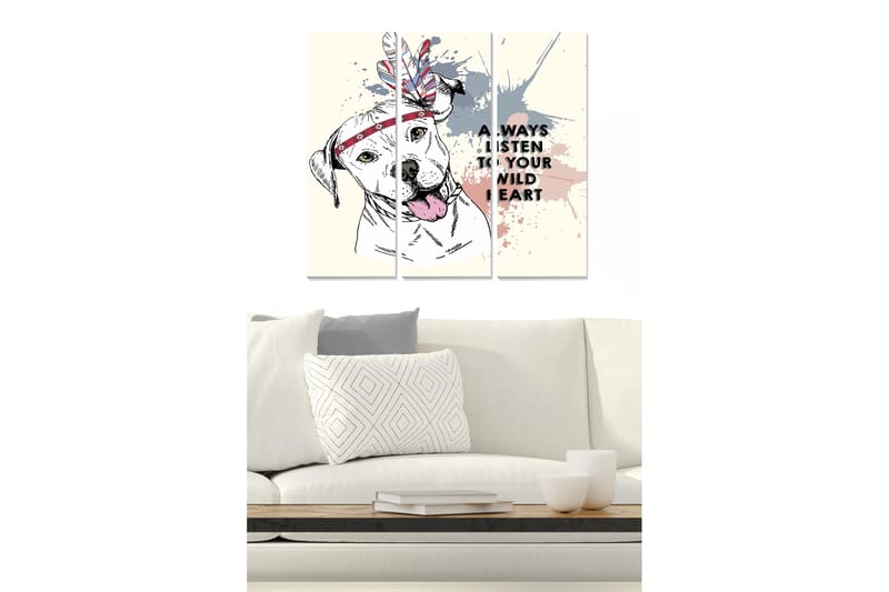 Canvastavla i trä 3-delar 50x70 cm - Hund med fjäderhuvudbonad och färgglada sprutningar, Grå / Rosa / Röd