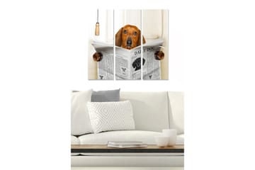 Canvastavla i trä 3-delar 50x70 cm - Hund som läser tidningen med nyfikenhet - Brun / Svart / Vit - Inredning - Tavlor & posters - Canvastavla