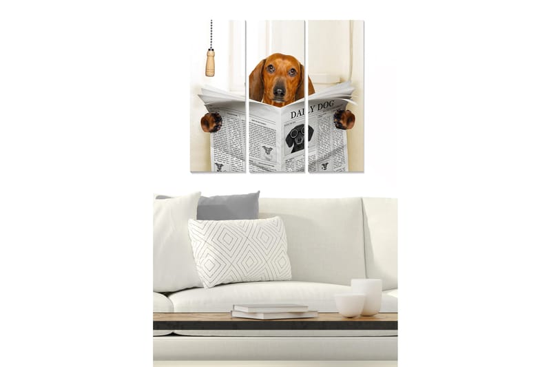 Canvastavla i trä 3-delar 50x70 cm - Hund som läser tidningen med nyfikenhet - Brun / Svart / Vit - Inredning - Tavlor & posters - Canvastavla