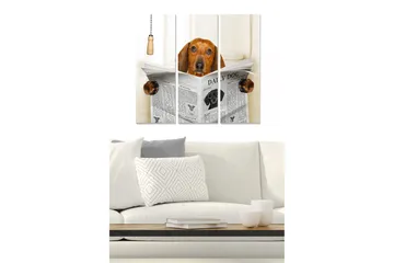 Canvastavla i trä 3-delar 50x70 cm - Hund som läser tidningen med nyfikenhet - Brun / Svart / Vit - Inredning - Tavlor & posters - Canvastavla