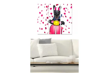 Canvastavla i trä 3-delar 50x70 cm - Hund på scooter omgiven av rosblad - Rosa / Svart / Gul - Inredning - Tavlor & posters - Canvastavla
