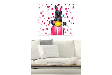 Canvastavla i trä 3-delar 50x70 cm - Hund på scooter omgiven av rosblad - Rosa / Svart / Gul - Inredning - Tavlor & posters - Canvastavla
