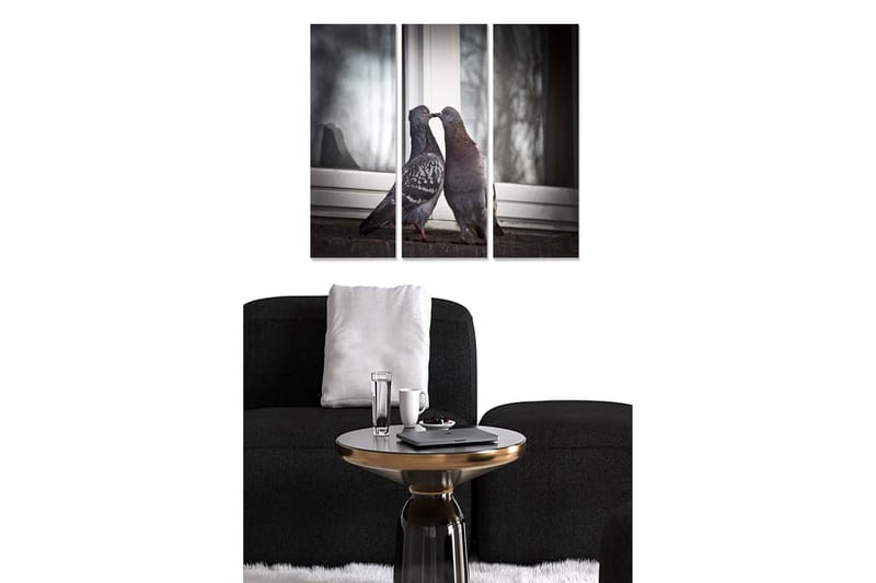 Canvastavla i trä 3-delar 50x70 cm - Kärleksfullt par av duvor vid ett fönster, Grå / Svart / Brun