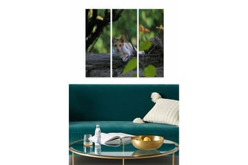 Canvastavla i trä 3-delar 50x70 cm - Katt som ligger på en sten omgiven av grönska - Grön / Brun / Vit - Inredning - Tavlor & posters - Canvastavla