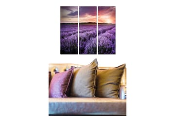 Canvastavla i trä 3-delar 50x70 cm - Lavendelfält under en färgsprakande solnedgång - Lila / Rosa / Grön - Inredning - Tavlor & posters - Canvastavla