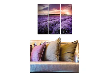 Canvastavla i trä 3-delar 50x70 cm - Lavendelfält under en färgsprakande solnedgång - Lila / Rosa / Grön - Inredning - Tavlor & posters - Canvastavla