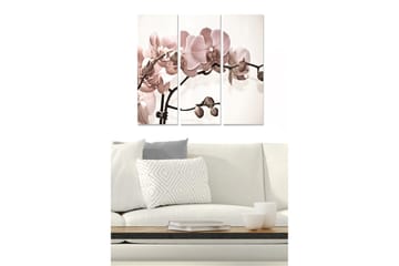 Canvastavla i trä 3-delar 50x70 cm - Ljusrosa orkidéer på en stilren bakgrund - Ljusrosa / Beige / Brun - Inredning - Tavlor & posters - Canvastavla
