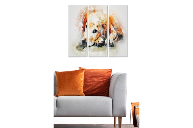 Canvastavla i trä 3-delar 50x70 cm - Lugn hund som vilar med huvudet på sina tassar - Orange / Vit / Svart - Inredning - Tavlor & posters - Canvastavla