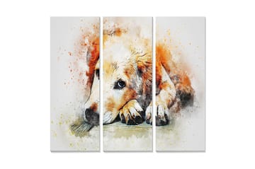 Canvastavla i trä 3-delar 50x70 cm - Lugn hund som vilar med huvudet på sina tassar - Orange / Vit / Svart - Inredning - Tavlor & posters - Canvastavla
