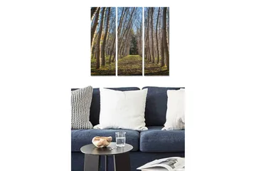 Canvastavla i trä 3-delar 50x70 cm - Lummig allé med höga träd som sträcker sig mot en ljus himmel - Grön / Brun / Blå - Inredning - Tavlor & posters - Canvastavla