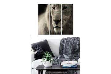 Canvastavla i trä 3-delar 50x70 cm - Majestätisk lejonhuvud i närbild - Grå / Beige / Svart - Inredning - Tavlor & posters - Canvastavla