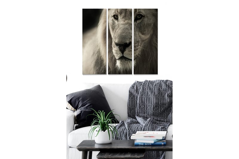 Canvastavla i trä 3-delar 50x70 cm - Majestätisk lejonhuvud i närbild, Grå / Beige / Svart