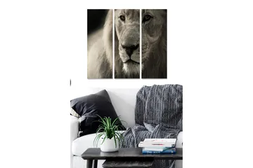 Canvastavla i trä 3-delar 50x70 cm - Majestätisk lejonhuvud i närbild - Grå / Beige / Svart - Inredning - Tavlor & posters - Canvastavla
