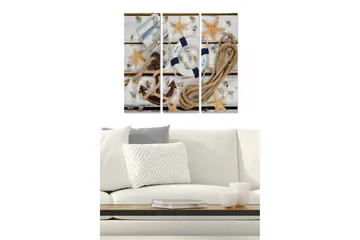 Canvastavla i trä 3-delar 50x70 cm - Marint stilleben med snäckor, stjärnformade sjöstjärnor och en livboj - Beige / Blå / Brun - Inredning - Tavlor & posters - Canvastavla