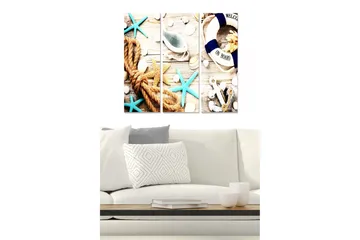 Canvastavla i trä 3-delar 50x70 cm - Maritim komposition med snäckor, stjärnformade sjöstjärnor och rep - Turkos / Beige / Vit - Inredning - Tavlor & posters - Canvastavla