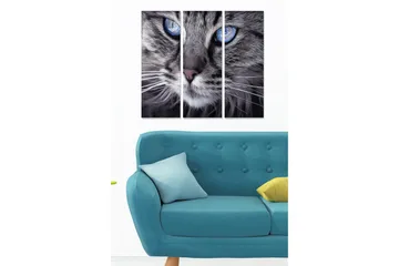 Canvastavla i trä 3-delar 50x70 cm - Närbild av en katt med intensiva blå ögon - Grå / Blå - Inredning - Tavlor & posters - Canvastavla