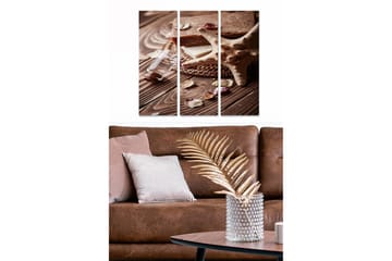 Canvastavla i trä 3-delar 50x70 cm - Naturlig stillhet med skaldjur och doftande örter - Beige / Brun / Vit - Inredning - Tavlor & posters - Canvastavla