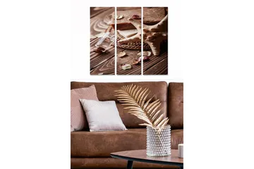 Canvastavla i trä 3-delar 50x70 cm - Naturlig stillhet med skaldjur och doftande örter - Beige / Brun / Vit - Inredning - Tavlor & posters - Canvastavla