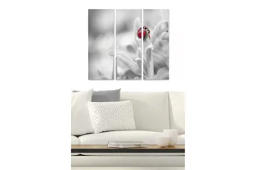 Canvastavla i trä 3-delar 50x70 cm - Röd nyckelpiga på en grön växt - Röd / Grön / Svart - Inredning - Tavlor & posters - Canvastavla