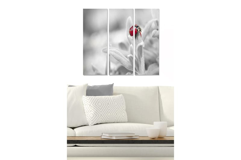 Canvastavla i trä 3-delar 50x70 cm - Röd nyckelpiga på en grön växt, Röd / Grön / Svart