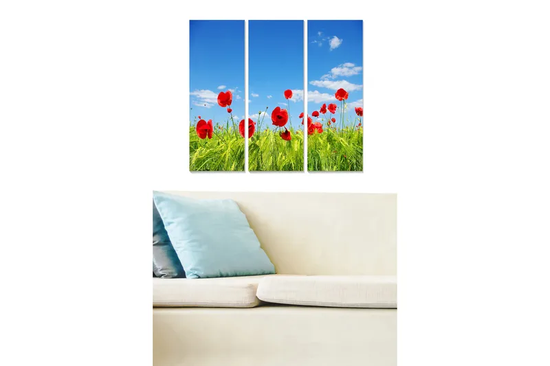 Canvastavla i trä 3-delar 50x70 cm - Röd vallmo i en grön äng under en klarblå himmel, Röd / Grön / Blå