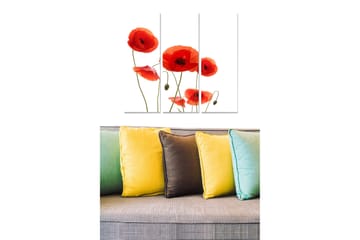 Canvastavla i trä 3-delar 50x70 cm - Röd vallmo i en stilren komposition - Röd / Grön - Inredning - Tavlor & posters - Canvastavla