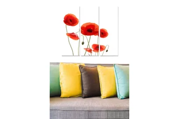 Canvastavla i trä 3-delar 50x70 cm - Röd vallmo i en stilren komposition - Röd / Grön - Inredning - Tavlor & posters - Canvastavla