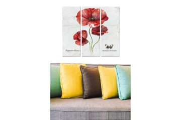 Canvastavla i trä 3-delar 50x70 cm - Röd vallmo med botanisk illustration - Röd / Grön / Beige - Inredning - Tavlor & posters - Canvastavla