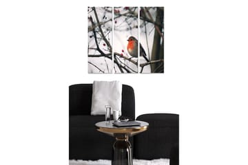 Canvastavla i trä 3-delar 50x70 cm - Rödbröstad fågel på en gren med bär - Grå / Röd / Brun - Inredning - Tavlor & posters - Canvastavla