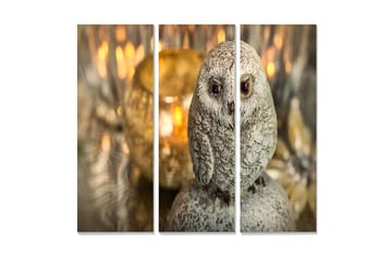 Canvastavla i trä 3-delar 50x70 cm - Realistisk uggla i grå nyanser - Grå / Beige / Brun - Inredning - Tavlor & posters - Canvastavla