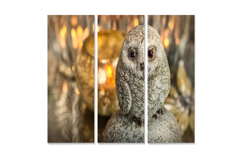 Canvastavla i trä 3-delar 50x70 cm - Realistisk uggla i grå nyanser, Grå / Beige / Brun
