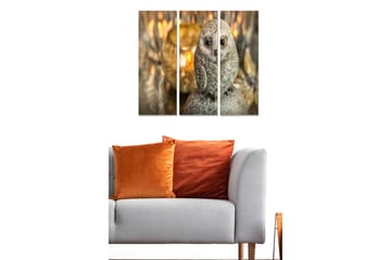Canvastavla i trä 3-delar 50x70 cm - Realistisk uggla i grå nyanser - Grå / Beige / Brun - Inredning - Tavlor & posters - Canvastavla
