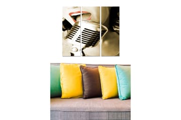 Canvastavla i trä 3-delar 50x70 cm - Retro mikrofon med en sångerska i fokus - Svart / Grå / Röd - Inredning - Tavlor & posters - Canvastavla