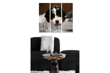 Canvastavla i trä 3-delar 50x70 cm - Söt hund som vilar på en mjuk filt - Svart / Vit / Grå - Inredning - Tavlor & posters - Canvastavla