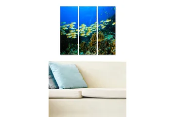 Canvastavla i trä 3-delar 50x70 cm - Skola av färgglada fiskar i korallrevets djup - Blå / Gul / Grön - Inredning - Tavlor & posters - Canvastavla