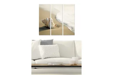 Canvastavla i trä 3-delar 50x70 cm - Snäcka på sandstranden vid havet - Vit / Beige / Ljusblå - Inredning - Tavlor & posters - Canvastavla
