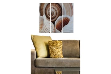 Canvastavla i trä 3-delar 50x70 cm - Snäckor med detaljerade mönster och naturliga former - Vit / Beige / Brun - Inredning - Tavlor & posters - Canvastavla