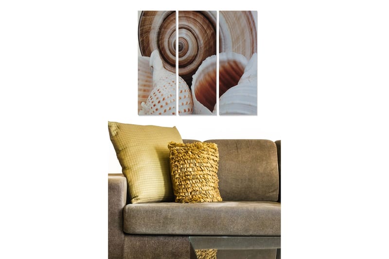 Canvastavla i trä 3-delar 50x70 cm - Snäckor med detaljerade mönster och naturliga former, Vit / Beige / Brun