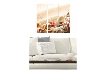 Canvastavla i trä 3-delar 50x70 cm - Snäckor och en sjöstjärna på sandstrand - Beige / Röd / Brun - Inredning - Tavlor & posters - Canvastavla