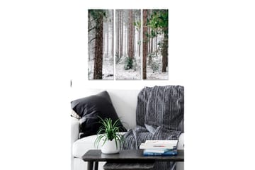 Canvastavla i trä 3-delar 50x70 cm - Snöklädd skog med höga träd - Grön / Brun / Vit - Inredning - Tavlor & posters - Canvastavla