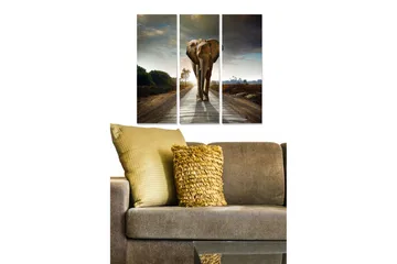 Canvastavla i trä 3-delar 50x70 cm - Storslagen elefant som går längs en väg i en naturskön miljö - Grå / Brun / Grön - Inredning - Tavlor & posters - Canvastavla