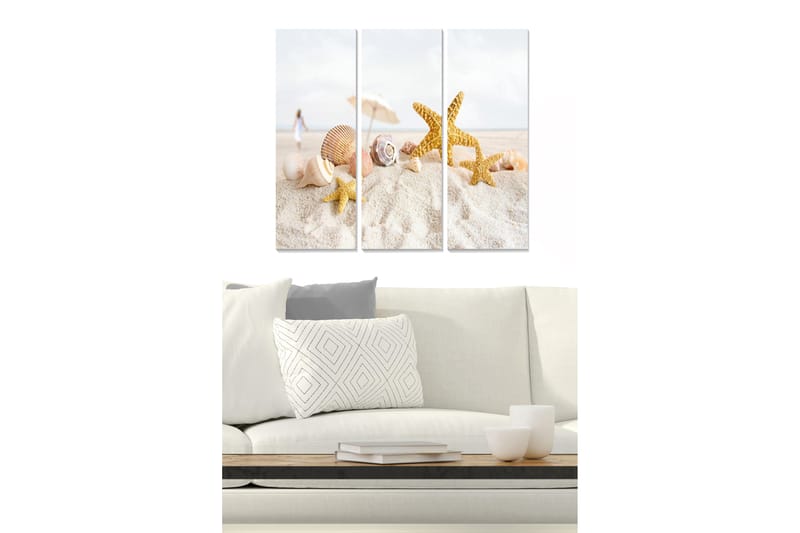 Canvastavla i trä 3-delar 50x70 cm - Strandmotiv med snäckor och sjöstjärnor, Guld / Beige / Vit